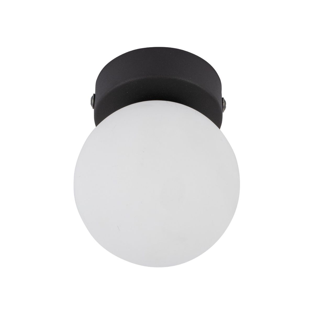 TK Lighting-Mini-5613-TKL5613