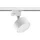 TK Lighting-TRACER-6156-TKL6156