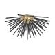 Zuma Line-URCHIN-C0491-06B-F7BC-ZUMC0491-06B-F7BC