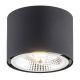 Argon-CLEVLAND-4691 BZ-ARG4691 BZ