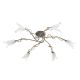 Elstead Lighting-FLY-FLY6-SF-BRZ-ANT-ELSFLY6-SF-BRZ-ANT