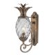 Hinkley Lighting-Plantation-HK-PLANTATION-M-BU-ELSHK-PLANTATION-MBU