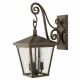 Hinkley Lighting-TRELLIS-HK-TRELLIS2-M-ELSHK-TRELLIS2-M