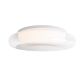 Maxlight-DUO-C0233-MAXC0233