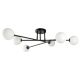 Light Prestige-Dorado-LP-002/6C BK-PRGLP-002/6C BK
