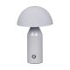Italux-Dorbia-TB-83647-GR-ITXTB-83647-GR