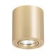 Light Prestige-Tulon-LP-5441/1SM GD-PRGLP-5441/1SM GD