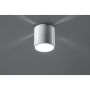 Sollux INEZ SL.0355 oprawa natynkowa 1x40W/G9 