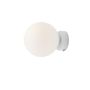 Aldex BALL 1076C_S kinkiet 1x10W/E14 IP20