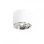 Aldex BOT 1046PL_G downlight natynkowy 1x35W/GU10/ES111