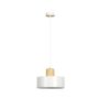 Emibig TORIN 1047/1 lampa wisząca 1x15W/E27 IP20