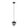Nowodvorski AMELIA 10496 lampa wisząca 1x10W/e27  IP44