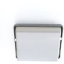 Nowodvorski TAHOE 10035 plafon sufitowy 2x15W/e27  IP44