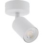 Tk Lighting NEX 11368 spot 1x10W/GU10   IP20