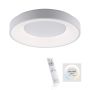 Paul Neuhaus ANIKA 14326-16 lampa sufitowa 1x26,5W/LED CCT IP20 2700K-5000K 1900lm