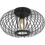 Paul Neuhaus RACOON 11410-18 lampa sufitowa 5x40W/E27   ip20
