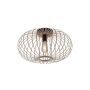 Paul Neuhaus RACOON 11411-79 lampa sufitowa 1x40W/E27 230V IP20