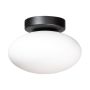 ZumaLine OMI 1186 lampa sufitowa 1x5W/G9 IP20