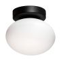 ZumaLine OMI 1188 lampa sufitowa 1x5W/G9 IP20