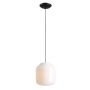Aldex FLASK ORCHID L 8500G1_L lampa wisząca 1x15W/E27   