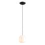 Aldex FLASK ORCHID S 8500G1_S lampa wisząca 1x10W/E14   