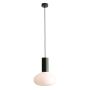 Aldex FLO MOSS M  7000G26_M lampa wisząca 1x10W/E14   