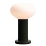 Aldex FLO MOSS S  7000B26_S  lampka stołowa 1x10W/E14   