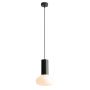 Aldex FLO MOSS S  7000G26_S  lampa wisząca 1x10W/E14   