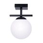 ZumaLine GLOBE 1210 lampa sufitowa 1x10W/E14 IP20