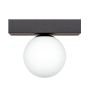 ZumaLine SPHERE 1206 lampa sufitowa 1x8W/G9 IP20