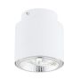 Emibig NANO 1311/1 downlight natynkowy 1x15W/GU10 AR111 IP20