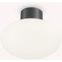 Ideal Lux CLIO 148861 lampa sufitowa 1x42W/E27   ip44