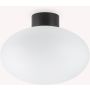 Ideal Lux CLIO 148878 lampa sufitowa 1x42W/E27   ip44