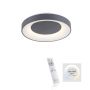 Paul Neuhaus ANIKA 14326-18 lampa sufitowa 1x26,5W/LED IP20 5000K 1450lm