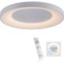Paul Neuhaus ANIKA 14327-16 lampa sufitowa 1x60W/LED 6600lm 2700-5000k ip20