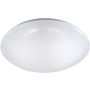 Paul Neuhaus SKYLER 14231-16 lampa sufitowa 1x12W/LED 1380lm 3000k ip20