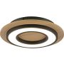 Paul Neuhaus TOLA 14560-18 lampa sufitowa 1x18W/LED 2200lm 3000k ip20