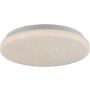 Paul Neuhaus URANUS 14275-16VE lampa sufitowa 1x12W/LED 1375lm 3000k ip20