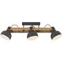 Paul Neuhaus CUP 2.0 15745-18 lampa sufitowa 3x60W/E27   ip20