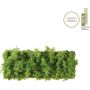 Paul Neuhaus GREEN CARL 15637-66 kinkiet 6x6,5W/LED 780lm 3000k ip20
