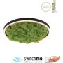 Paul Neuhaus GREEN RITUS 15391-66 lampa sufitowa 1x20W/LED 630lm 3000k ip20
