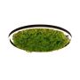 Paul Neuhaus GREEN RITUS 15392-66 lampa sufitowa 1x28W/LED 960lm 3000k ip20
