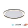 Paul Neuhaus RITUS 15391-95 lampa sufitowa 1x20W/LED IP20 3000K 900lm