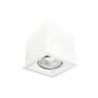 Antigo Cage 1079 downlight natynkowy 1x10W/GU10 IP20