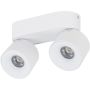 Tk Lighting SPARK 18171 spot 2x10W/LED 965lm 3000/4000/6000 K IP20