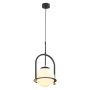 Jupiter ROSSO 1912 lampa wisząca 1x15W/E27 IP20