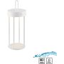 Paul Neuhaus ANSELM 19300-16 lampka stołowa 1x1,5W/LED 130lm 2700k ip44