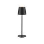 Paul Neuhaus BOTERIA 19251-18 lampka stołowa 1x2,5W/LED 3000K IP20 180lm