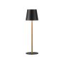 Paul Neuhaus EURIA 19250-68 lampka stołowa 1x2,5W/LED 3000K IP20 180lm