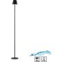 Paul Neuhaus EURIA 19252-18 lampa stojąca 1x2,5W/LED 320lm 3000k ip54